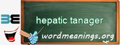 WordMeaning blackboard for hepatic tanager